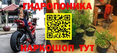 ПСИЛОЦИБИНОВЫЕ ГРИБЫ Волгодонск