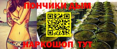 хмурый Тара