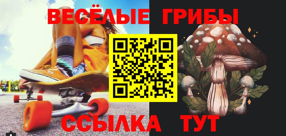 Мурманск  как найти закладки  Вход с VPN  Галлюциногенные грибы Cubensis 